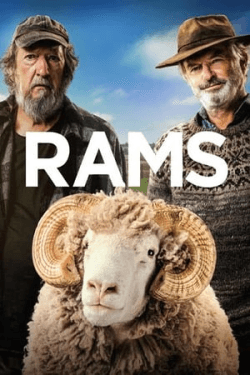 Poster Rams (2020)