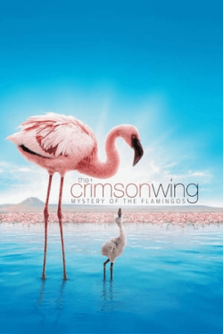 Poster The Crimson Wing: Mystery of the Flamingos (2008)