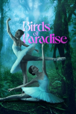 Poster Birds of Paradise (2021)