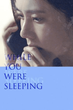 Poster While You Were Sleeping (2024)