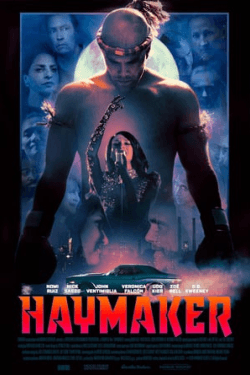 Poster Haymaker (2021)