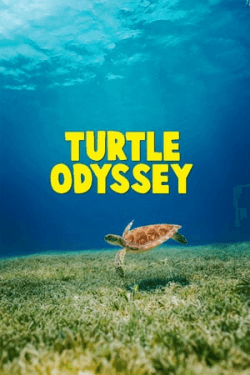 Poster Turtle Odyssey (2018)