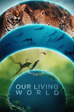 Poster Our Living World