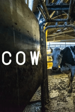 Poster Cow (2022)