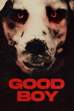 Poster Good Boy (2022)