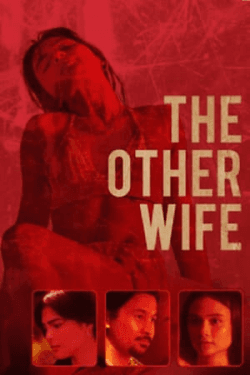 The Other Wife (2021)