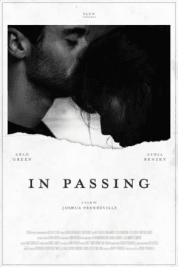 Poster In Passing (2020)