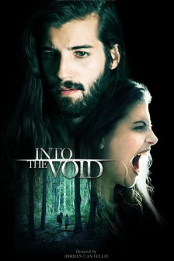 Poster Into the Void (2019)