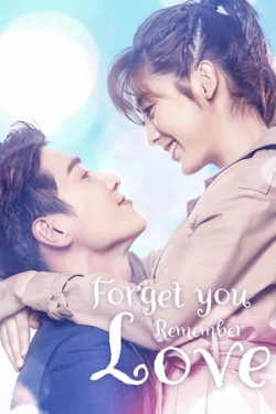 Poster Forget You Remember Love