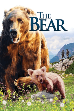 Poster The Bear (1988)