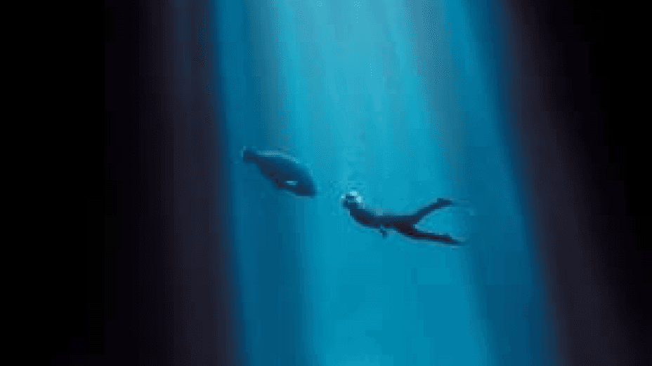 Blueback (2022)