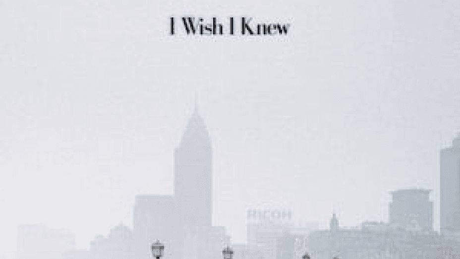 I Wish I Knew (2010)